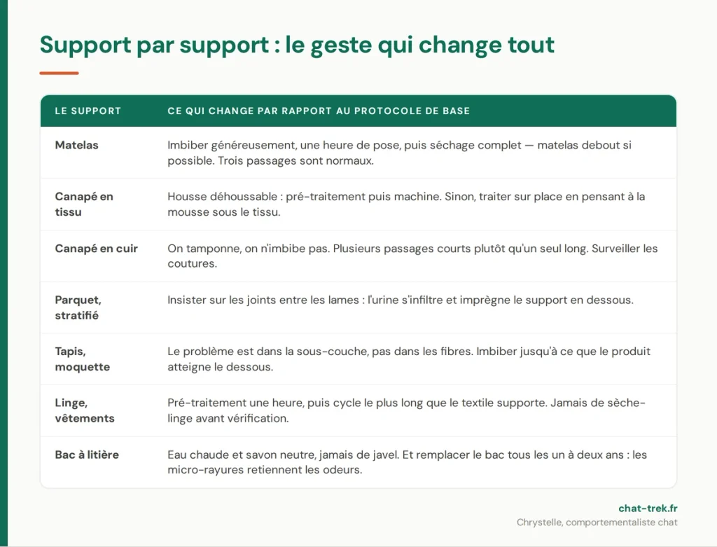 Comment nettoyer l'urine de chat selon le support : matelas, canapé, parquet, moquette, linge, bac