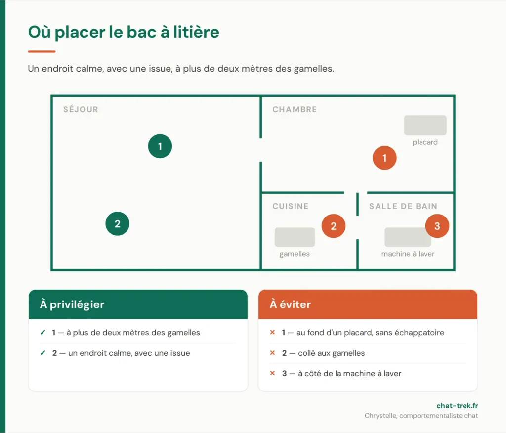 Plan d'appartement montrant où placer et où ne pas placer le bac à litière