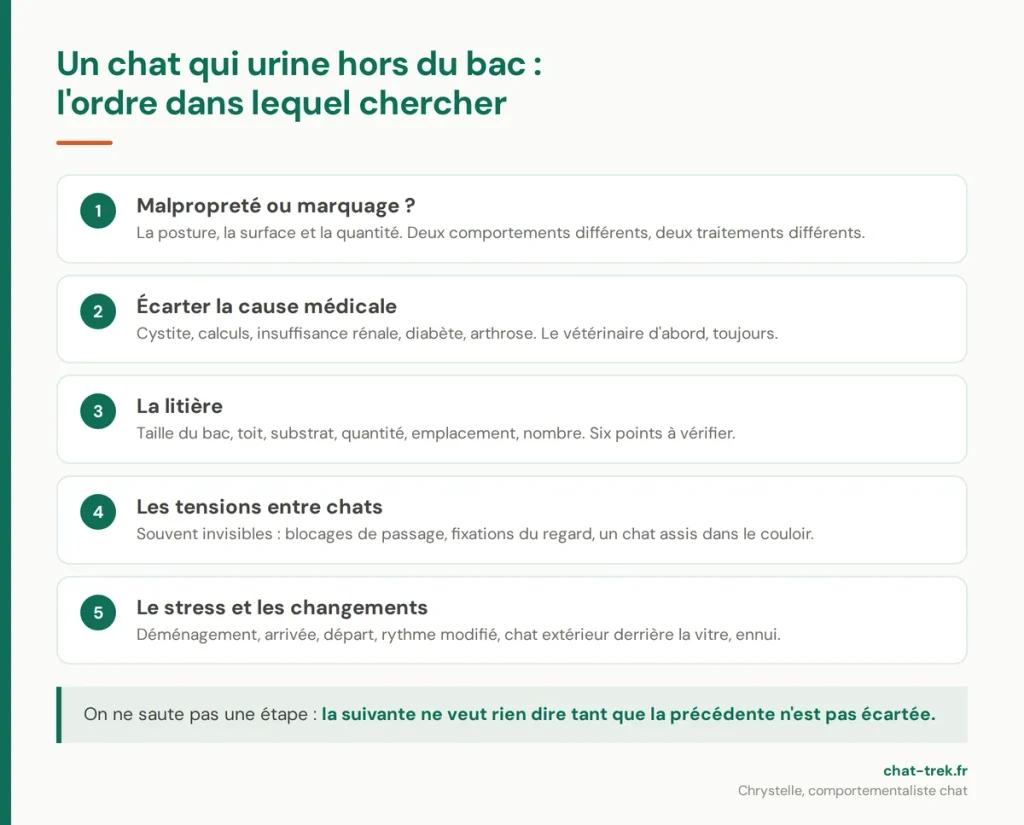 Les cinq étapes pour trouver pourquoi un chat fait pipi hors de la litière