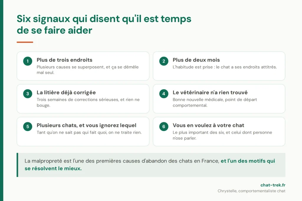 Six signaux qui indiquent qu'un chat malpropre a besoin d'un comportementaliste