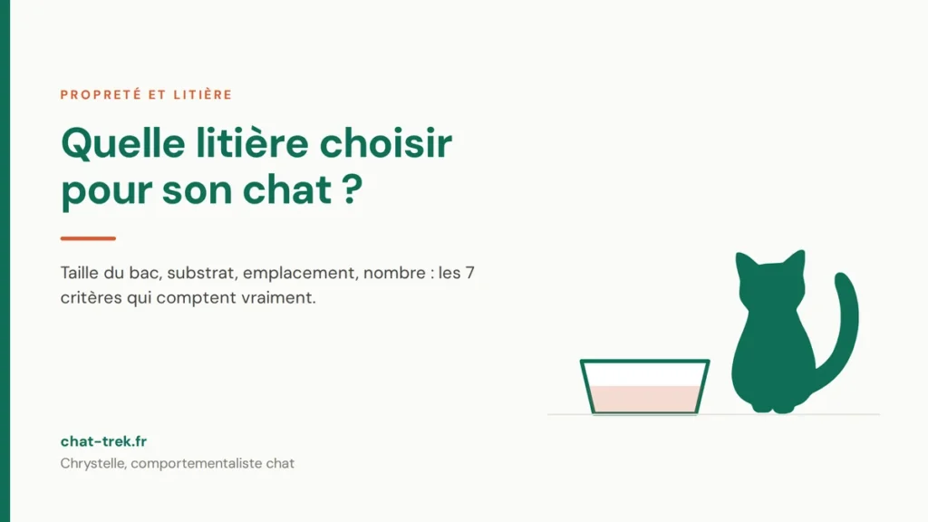 Chat assis devant un bac à litière ouvert de grande taille