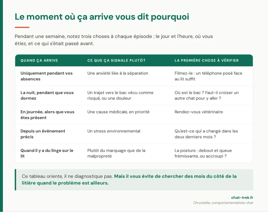 Tableau d'observation : ce que le moment des épisodes révèle quand un chat fait pipi sur le lit
