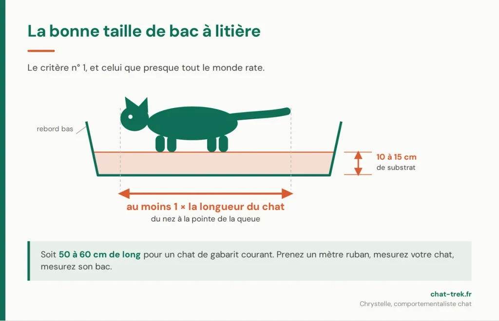 Les dimensions d'un bac à litière adapté : au moins une fois la longueur du chat et 10 à 15 cm de substrat