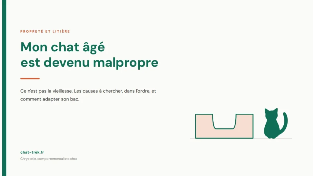 Chat âgé malpropre : un chat assis à côté d'un bac à litière à entrée basse