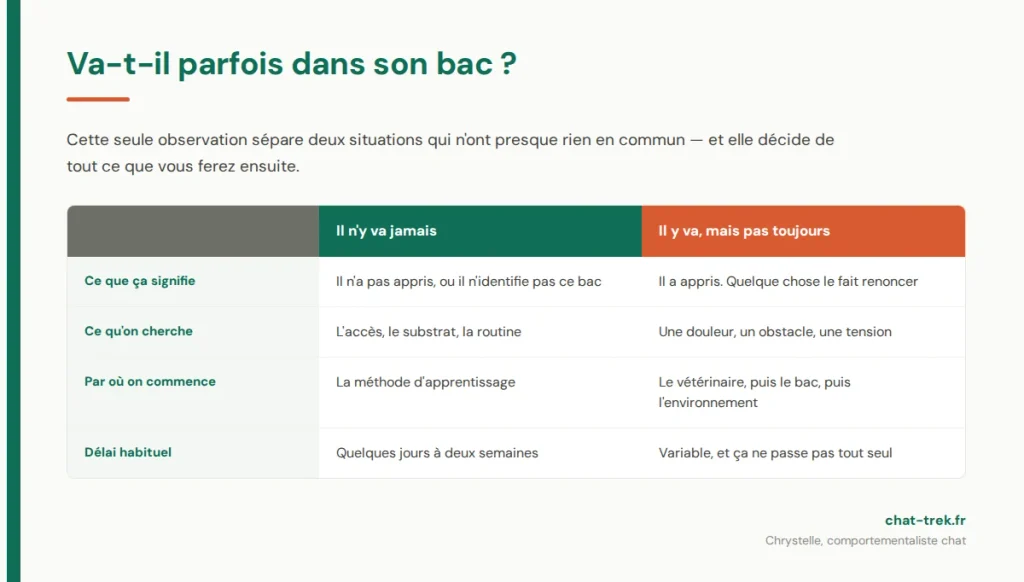 Chaton qui n'est pas propre : ce que change le fait qu'il aille parfois, ou jamais, dans son bac