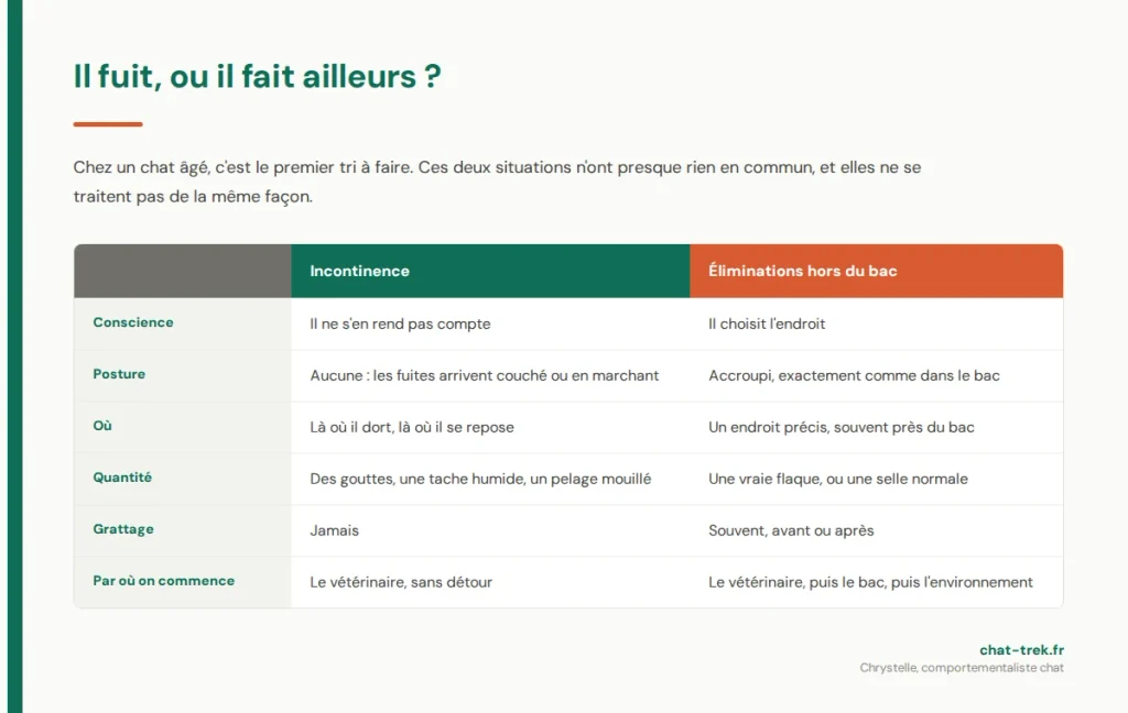 Chat âgé incontinent ou éliminations hors du bac : les critères qui font la différence